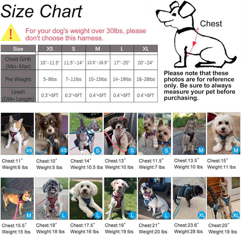 Dog Harness Step-in Breathable Vest Harnesses for Small/Medium Dogs (Blue)