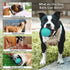 Indestructible Dog Squeaky Balls, Durable Tough Chew Toys for Aggressive Chewers, Natural Rubber Interactive Toys