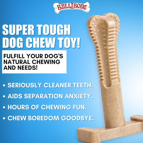 Bullibone SuperBrush: Dog Teeth Cleaning Brushing Toothbrush Stick - Long Lasting Nylon Apple Cinnamon Chew Toy for Oral Care and Dental Health