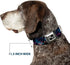 Buckle-Down Galaxy Collage Seatbelt Buckle Dog Collar - 1.5" Wide, Fits 13-18" Neck, Small