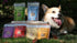 PURE REISHI, 100% Mushrooms Extract for Dogs & Cats - Immune & Digestive Health, Anti-inflammatory, Antioxidative
