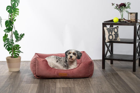 Modern Threads Luxury Dog Bed - Comfortable Tufted Velvet Cushion for Small to Large Dogs, Machine Washable, Durable &