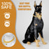 Cuban Link Dog Chain Collar, 12mm with Secure Snap, Bell & Dog Tag, Stainless Steel 18K Gold for Puppy, Small, Medium,