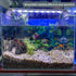 Volcano Shape Aquarium Decorations, Resin Fish Tank Cave Ornaments, Fish Sleep Rest House