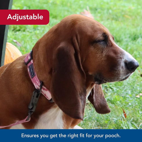 Coastal Pet Water & Woods Adjustable Dog Collar, Stylish Patterned Collar with Curved Snap Lock Buckle, Bottomland