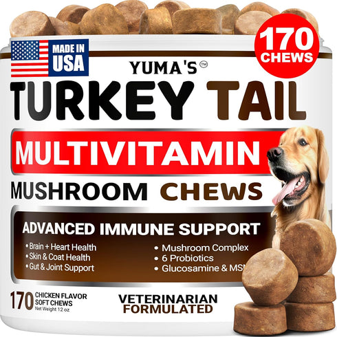 Turkey Tail Mushroom for Dogs - 170 Count - Mushroom Chews for