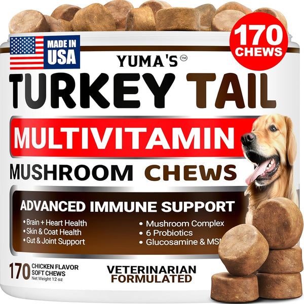 Turkey Tail Mushroom for Dogs - 170 Count - Mushroom Chews for