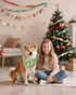 100 Pack Set PET SHOW Christmas Dog Bandanas Bulk for Small Medium Dogs No Stitch Scarves Xmas Triangle Bibs Kerchief