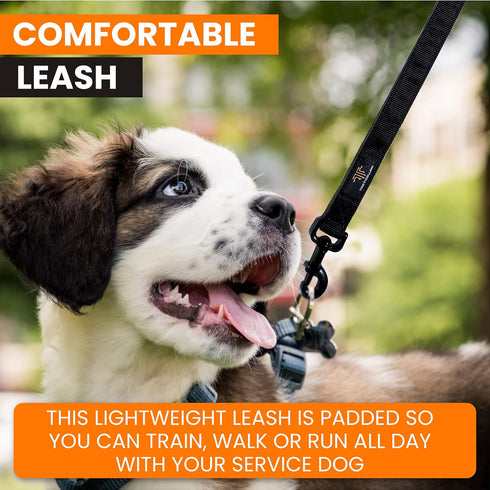 Service Dog Leash, Strong Nylon with Soft Neoprene Padded Handle, 4ft Length x 1in Width