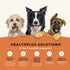 Canidae All Life Stages Real Chicken & Potato Recipe, High Protein, Grain-Free Dry Dog Food, 4 lbs.