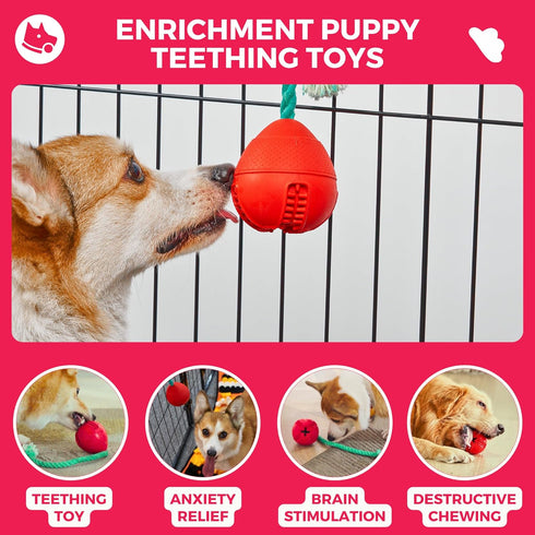 Fossa Interactive Dog Toys, Puzzle Treat Dispenser with Rope for Reducing Boredom and Anxiety
