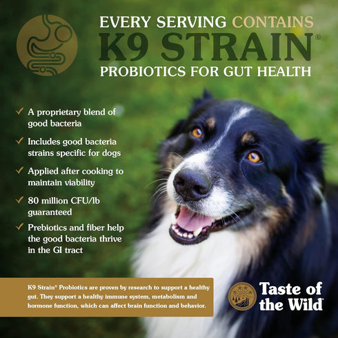 Taste of the Wild Grain Free High Protein Real Meat Recipe - 5lb - High Prairie Puppy Dry Dog Food