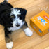 Nylabone Dog Toy Gift Box - 3 Strong Chew Toys and 1 Dog Treat, Chew Toys for Puppies, Small/Regular (4 Count)