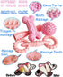4 Pack Puppy Toys for 2-8 Months, Teething Chew Toys, Soft Rubber Bone, Funny Ball, Interactive Donut for Small Medium
