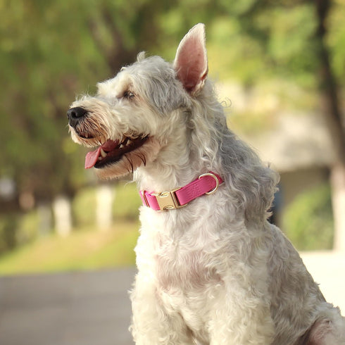 PET ARTIST Soft Leather Dog Collar for Large Dogs, Heavy Duty Nylon Padded Collar with Quick Release Metal Buckle, Neck