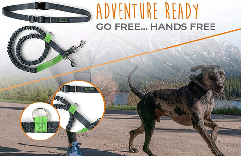 Mighty Paw Hands Free Dog Leash | Bungee Waist Leash for Dog Walking, Pet Waist Belt (36" - 48") - Gray, Up to 150 lbs
