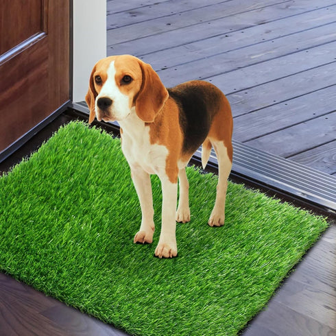 GLOBREEN Dog Grass Door Mat for Muddy Paws, 24 x 36 Inch, Indoor Outdoor Entryway Rug, Absorbent Machine Washable Turf