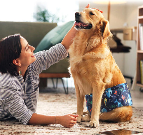 Size(5 Pack wegreeco Small Dog Diapers Male,Reusable Belly Bands for Male Dogs,Washable Doggie Puppy Diapers