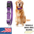 e-Collar Replacement Strap, Shock Collar Replacement, Compatible with Most Brands, 1", Pink