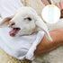 Weewooday 50 Disposable Artificial Insemination Rods for Dog Goat Sheep Breeding (Blue, 8 Inches)