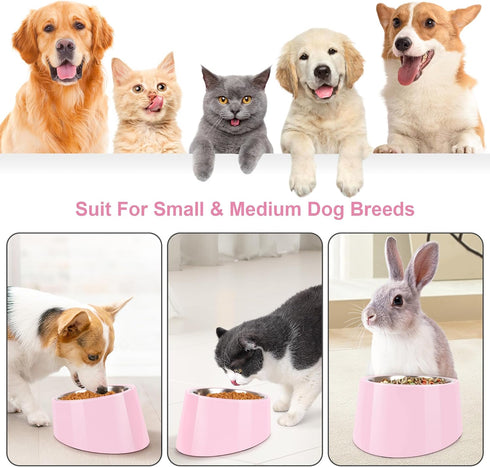 Tilted Angle Dog Bowl, 15° Slanted Stainless Steel Pet Feeder with Elevated Detachable Stand, Easy to Get Food (M/1.5