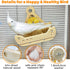 2 in1 Bird Perch Toy with Spinner Rattle Toys, Safe Cockatiel Toys Enrichment, Indoor Bird Cage Accessories Conure