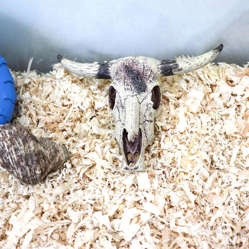 Bearded Dragon Tank Decor Accessories, Resin Cattle Skull Reptiles Hideouts for Fish Aquarium