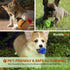 Colorful Squeaky Tennis Balls for Small Dogs and Puppies, 1.5 Inch, 12 Pack for Training and Fetch