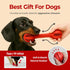 JAYU PET Toothbrush Toy Dog Chew Toy for Aggressive Chewers, Durable Dental Toy for Small & Medium Dogs, Teeth Cleaning