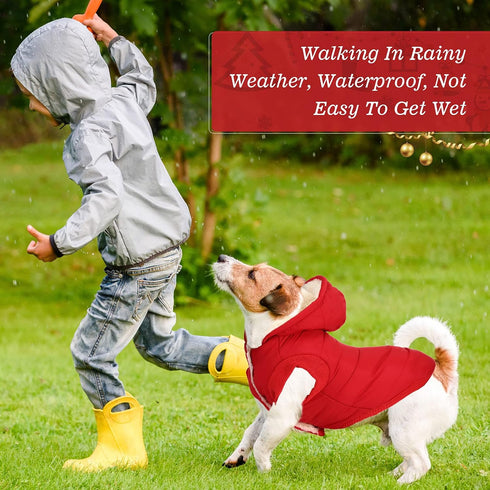 3 Pcs Pet Dog Sweater Jacket, Large, Knitwear Hoodie Clothes, Warm Winter Costume for Puppies