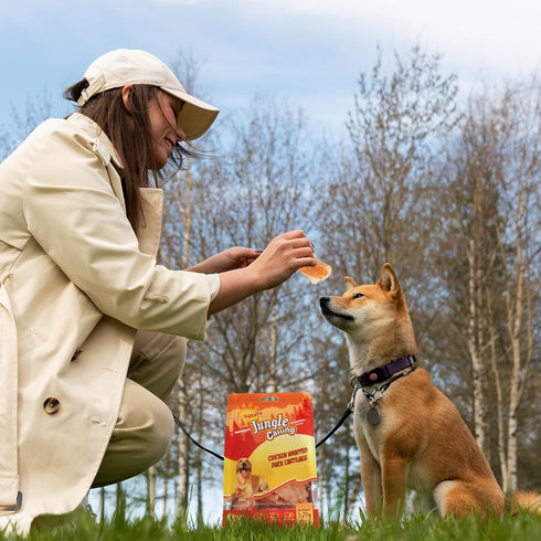 21 Count Jungle Calling Dog Treats, Chicken Wrapped Bones, Rawhide Free Chews Made with Real Meat and Duck Cartilage