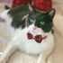 Pohshido 2 Pack Christmas Cat Collar with Movable Bowtie, Breakaway Buckle Safety Kitty Kitten Collar, Adjustable Pet