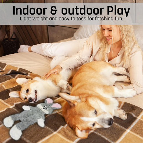 FGA MARKETPLACE Grey Rabbit Dog Toy Flat NO Stuffing NO Squeak, Funny Style for Small and Medium Dogs 21 INCH Long