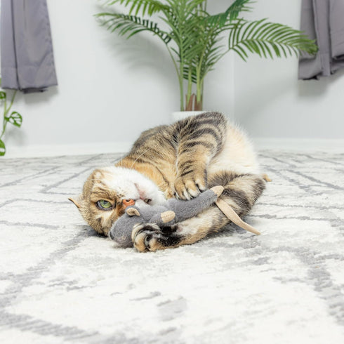 SPOT Flat Mouse Frankie with Catnip, Cat Toy, 5.5in Plush Mice with Catnip and Crinkle Sound, Perfect for Chasing