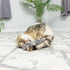 SPOT Flat Mouse Frankie with Catnip, Cat Toy, 5.5in Plush Mice with Catnip and Crinkle Sound, Perfect for Chasing