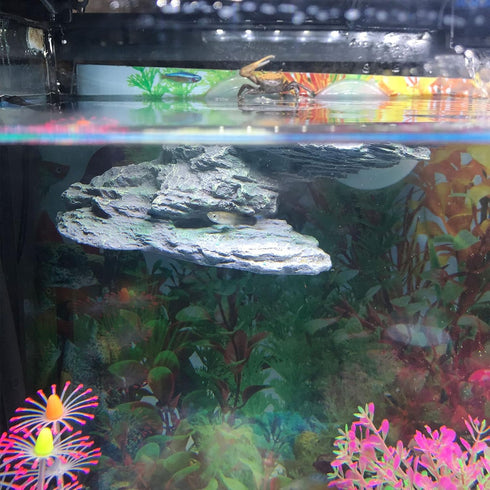 kathson Turtle Basking Platform with Suction Cup, Tortoise Climbing Rest Terrace for Reptile Habitat Rock Decor (L)