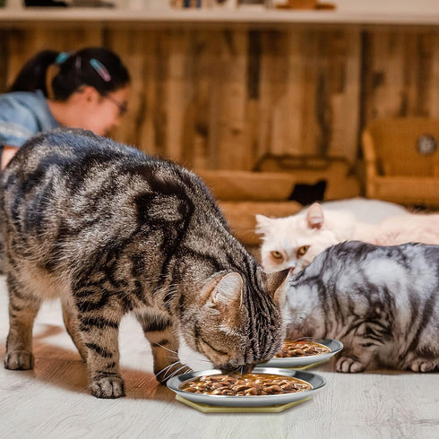 Stainless Steel Flat Style Cat Dishes for Food and Water, 4 Sets for Small Pets