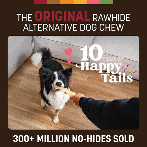 16 Count Earth Animal No Hide Strips - Natural Rawhide Free Dog Chew Strips, Beef