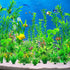 30pcs Fish Tank Accessories Aquarium Decorations Green Plants, Green Fish Tank Decorations Plant, Fish Tank Decor, Aquarium Decor Plastic Plants by CousDUoBe