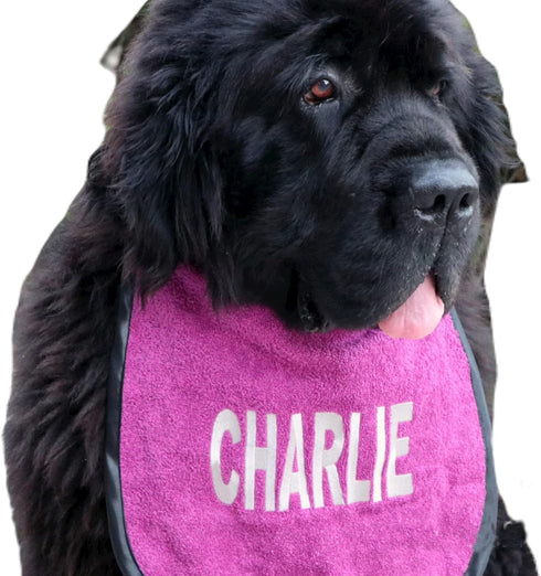 Personalized Dog Bib with Name/Nickname: Handmade, Waterproof Backing, Stylish & Comfortable for