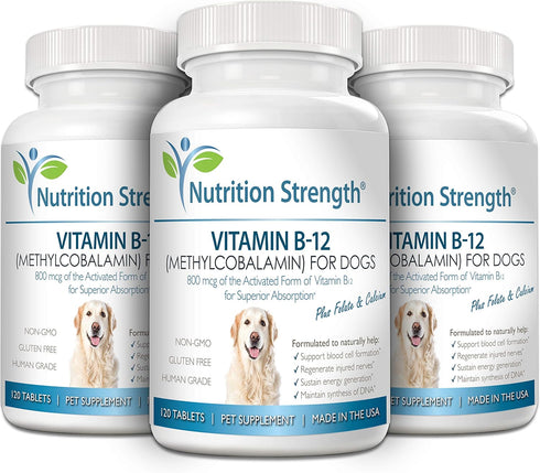 Vitamin B12 for Dogs: Plus Folate & Calcium, Supports Nervous System, Blood Cell Formation, 120 Chewable Tablets