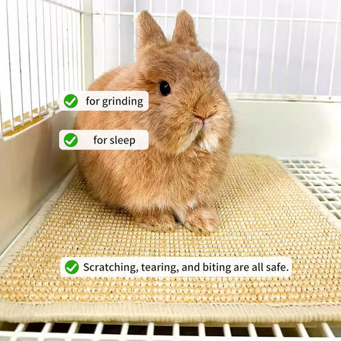 2PCS 16x12 Oncpcare Rabbit Scratch Mat Natural Bunny Scratching Pad Claws and Teeth Care Rabbit Mats for Cages Chew