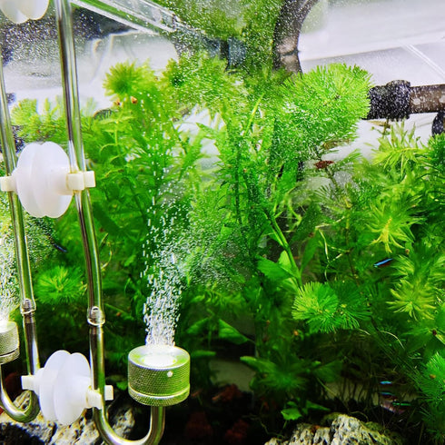 Boao 32.8 ft Aquarium CO2 Proof Tubing, Clear Airline Tubing with 12 Pcs Suction Cups for Fish Tank