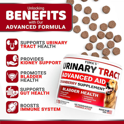 170 Immune Dog UTI Chews - Treats - Cranberry Supplement for Dogs - Bladder Control - Digestion & Support - Urinary