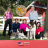 12 Count, 12.5 oz Evanger's Heritage Classic Lamb & Rice Dinner Dog Food Each Gluten & Grain Free, Complete Balanced