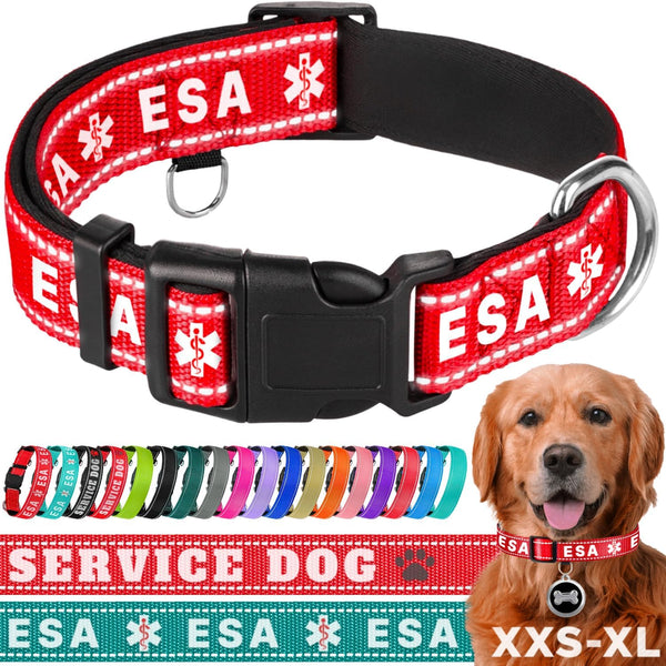 TECEUM Reflective Pet Collar, Red, XS, Extra Soft Padding, Basic Nylon Collar, Quick Release Buckle for Dogs and Cats