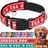 TECEUM Reflective Pet Collar, Red, XS, Extra Soft Padding, Basic Nylon Collar, Quick Release Buckle for Dogs and Cats