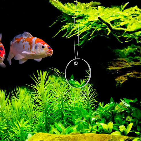 POPETPOP Betta Exercise Mirror Set, Double Sided Circle with Floating Ball for Fish Tank