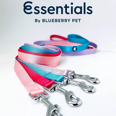 Blueberry Pet Essentials Very Berry Dog Leash for Large Dogs, 4' * 1" Heavy Duty Nylon Lead