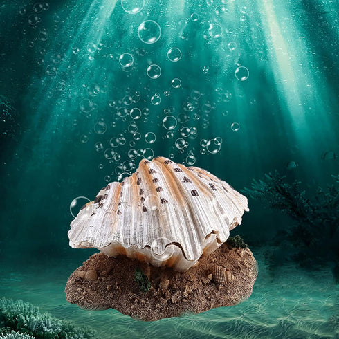 Aquarium Decoration, Fish Tank Simulation Resin Shell Pearl Bubbler Decor, Coral Reefs Aerating Action Ornament
